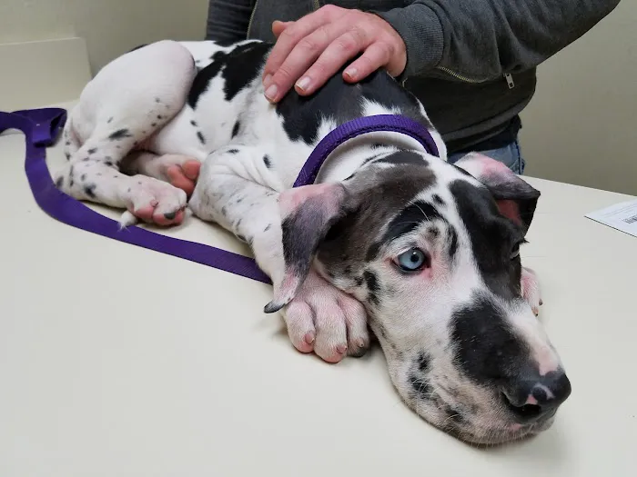 Schultz Veterinary Clinic 9