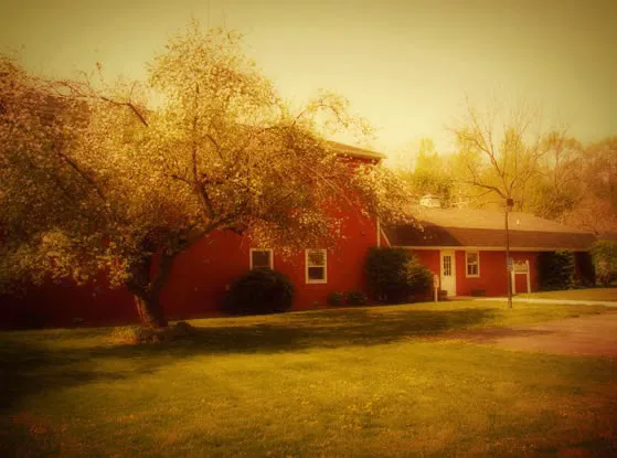 Apple Grove Veterinary Care 2