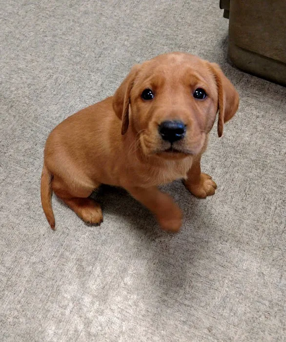 Apple Grove Veterinary Care 9