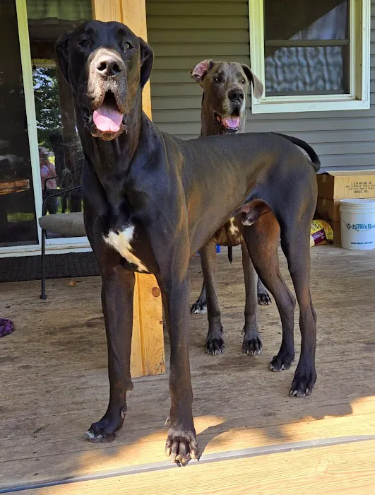Apple Grove Veterinary Care 10
