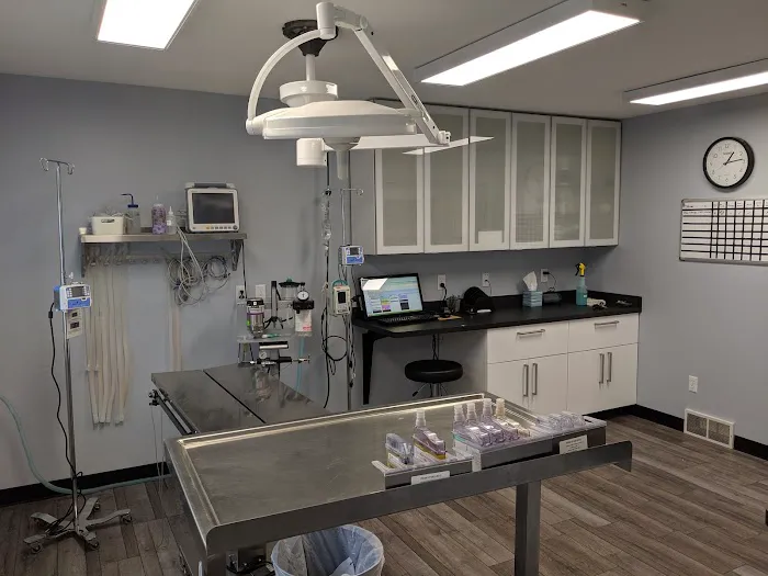 Eastwood Veterinary Hospital 2