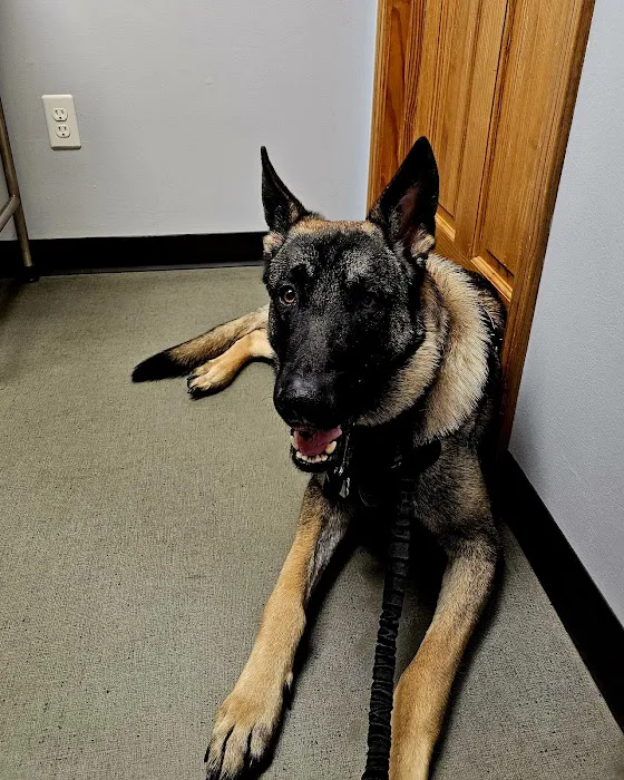 Eastwood Veterinary Hospital 8