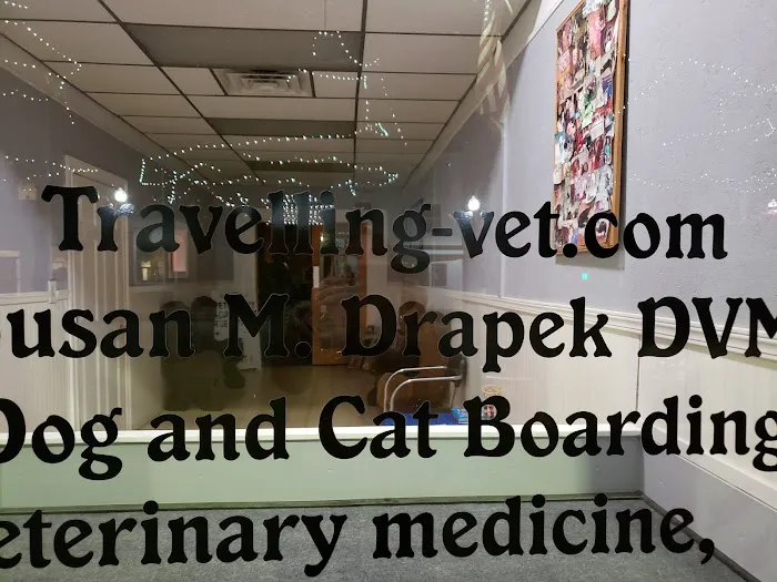 Veterinary Acupuncture 4
