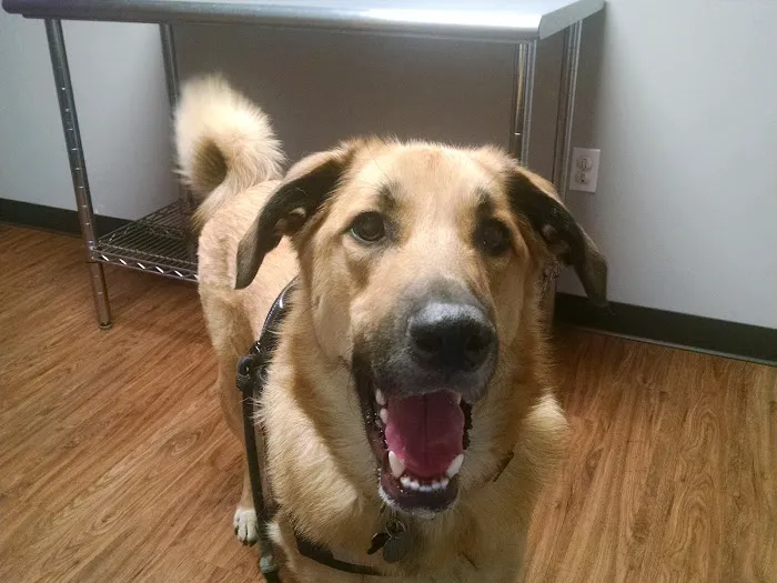 Martin Veterinary Hospital, LLC 12