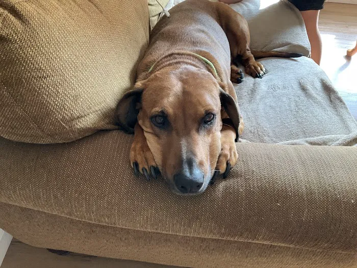 Martin Veterinary Hospital, LLC 12