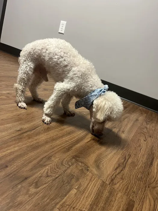 Martin Veterinary Hospital, LLC 12