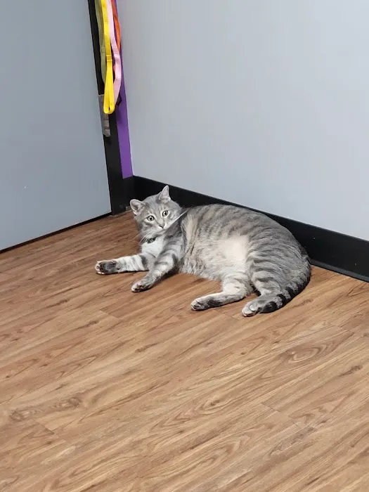 Martin Veterinary Hospital, LLC 12