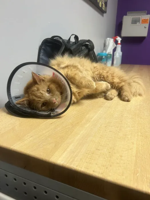 Martin Veterinary Hospital, LLC 12