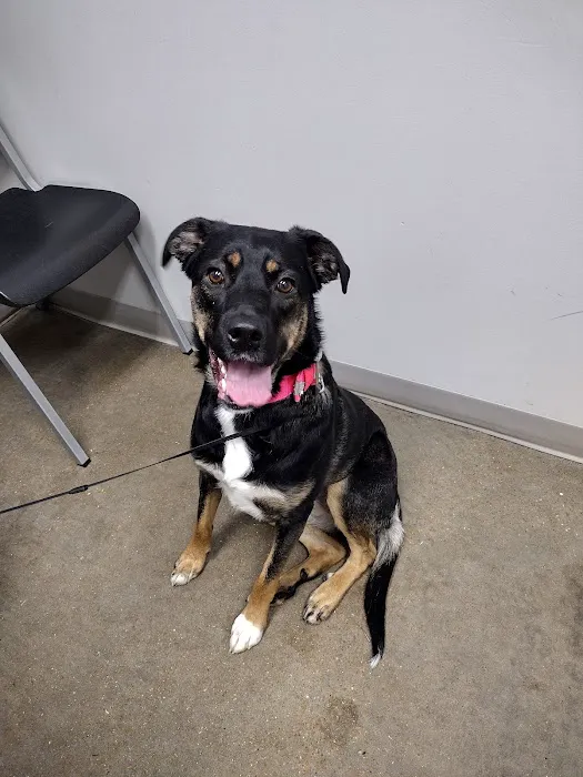 Jones Animal Health Center 12