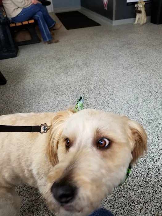Jones Animal Health Center 12