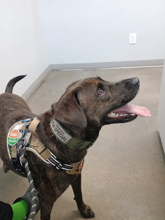 Jones Animal Health Center 12