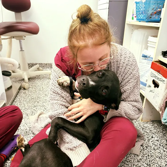 Circle of Life Animal Hospital 12