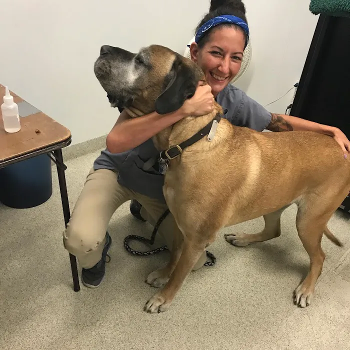 Circle of Life Animal Hospital 12