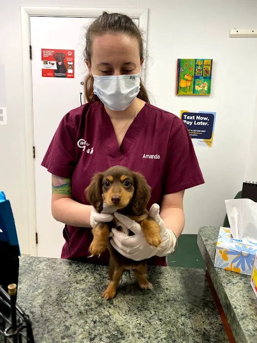 Circle of Life Animal Hospital 12