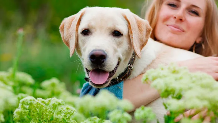 Lawson Animal Hospital LLC: Alicia Lawson Tolar, DVM 12