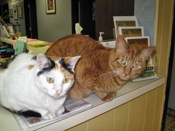 Columbia Animal Hospital 12