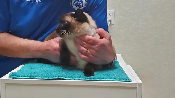 Columbia Animal Hospital 12