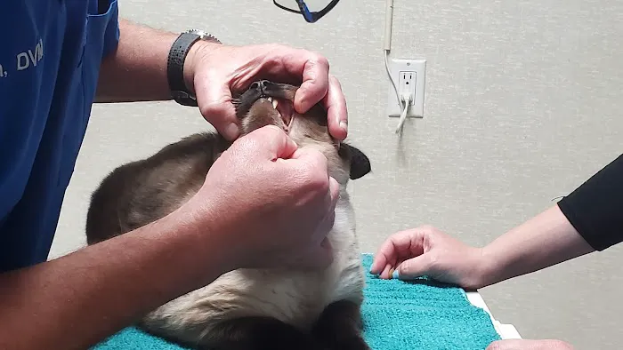 Columbia Animal Hospital 12