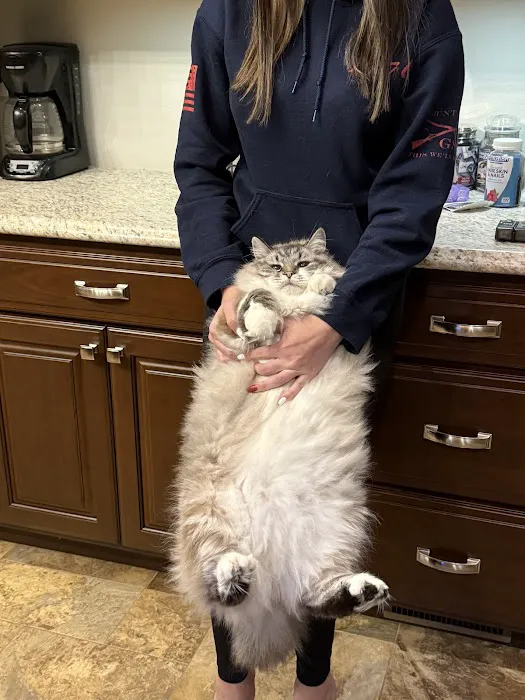 Mueller Veterinary Services 3