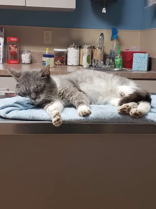 Mueller Veterinary Services 1