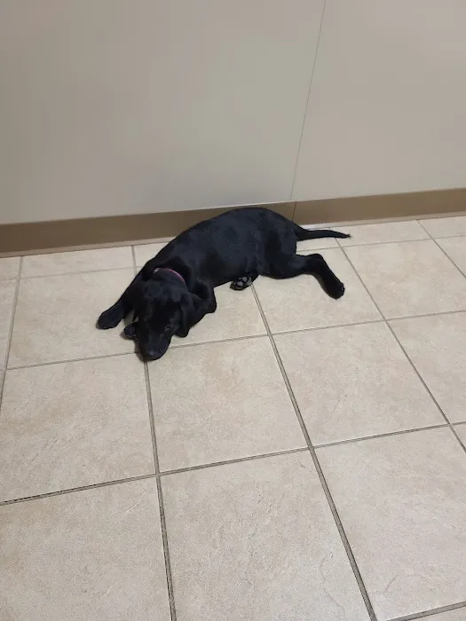 Mueller Veterinary Services 2