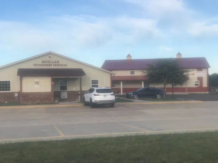Mueller Veterinary Services 9