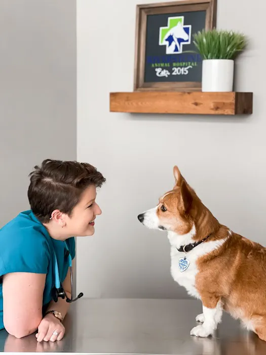Riverstone Animal Hospital 2