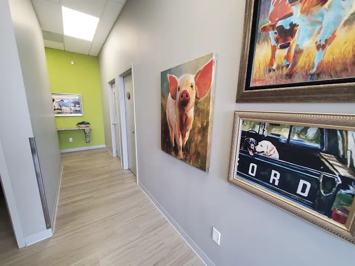 Riverstone Animal Hospital 5