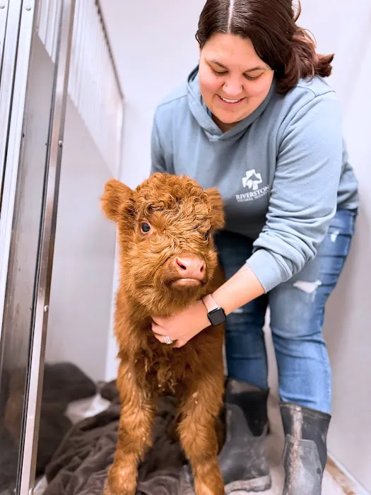 Riverstone Animal Hospital 8