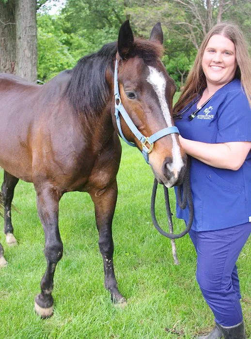Riverstone Animal Hospital 6