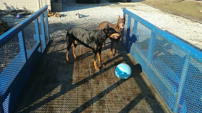 Mon-Clair Animal Hospital 12