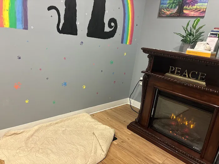 Animal Emergency & Referral Center of York, A Thrive Pet Healthcare Partner 12