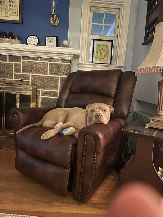 Animal Emergency & Referral Center of York, A Thrive Pet Healthcare Partner 12