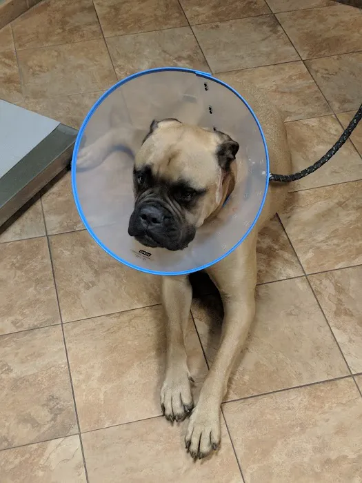 Yorkshire Animal Hospital 12