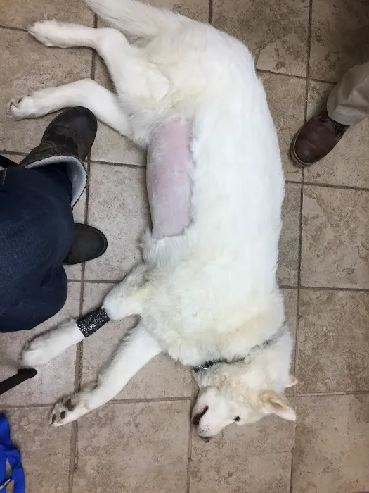 VCA White Rose Animal Hospital 12