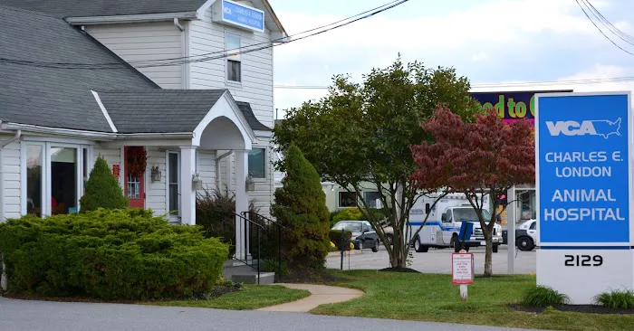 VCA White Rose Animal Hospital 12