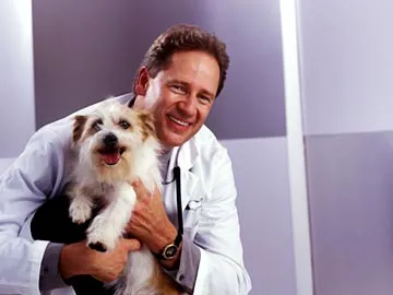 VCA White Rose Animal Hospital 12