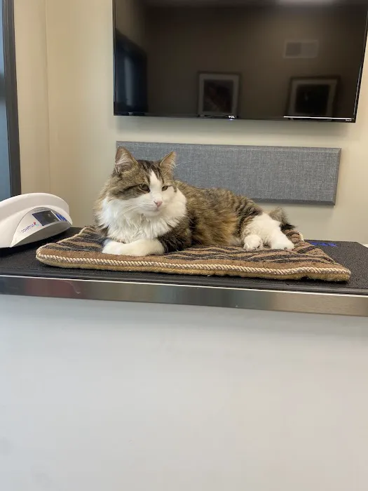 Leader Heights Animal Hospital 12