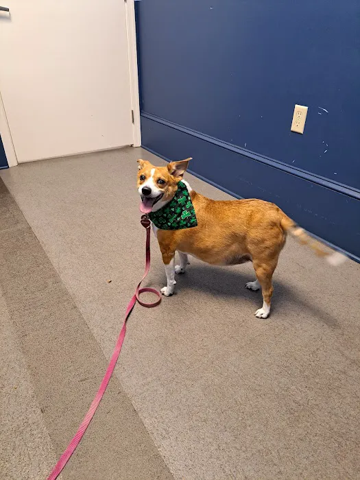 Compassion Animal Hospital LLC 12