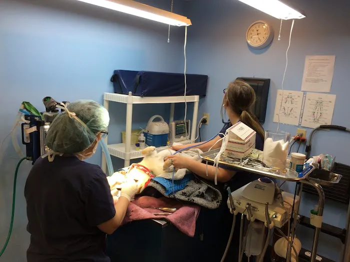 Compassion Animal Hospital LLC 12