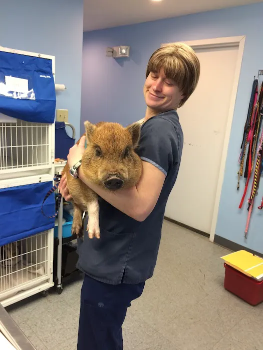 Compassion Animal Hospital LLC 12