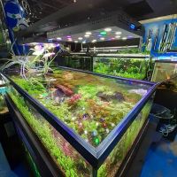 Rivers & Reefs ico