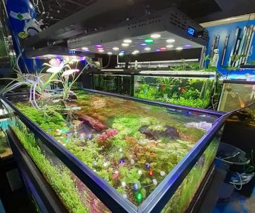 Rivers & Reefs
