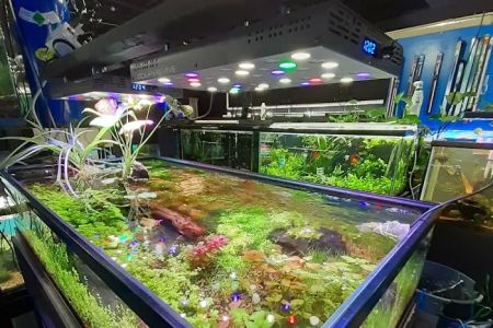 Rivers & Reefs