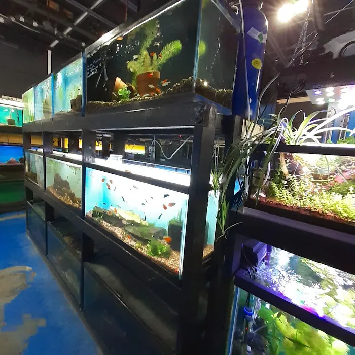 Rivers & Reefs 12