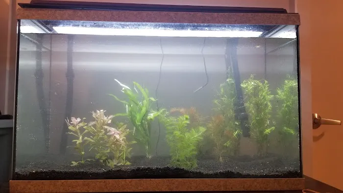 Rivers & Reefs 12