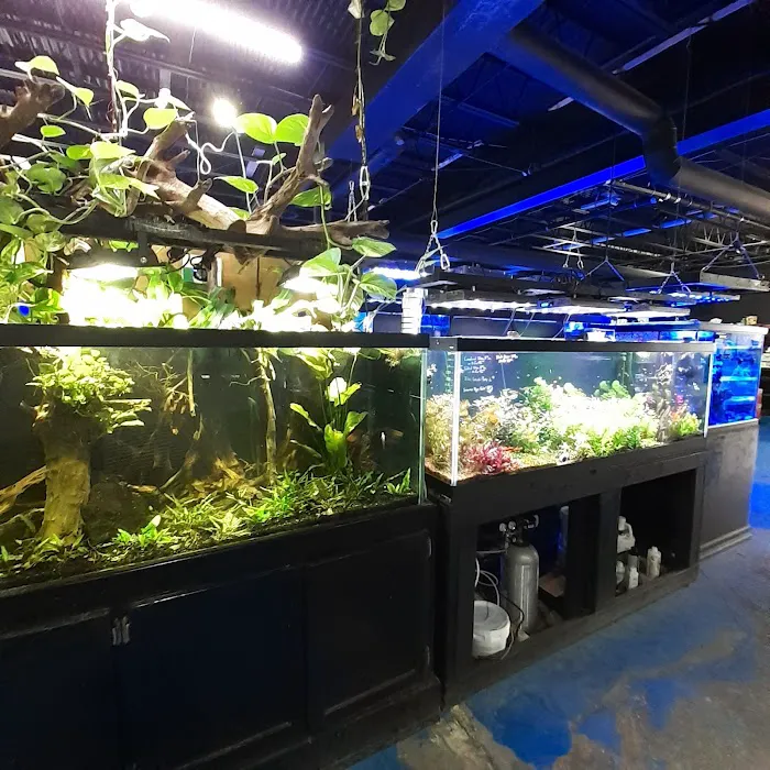 Rivers & Reefs 12