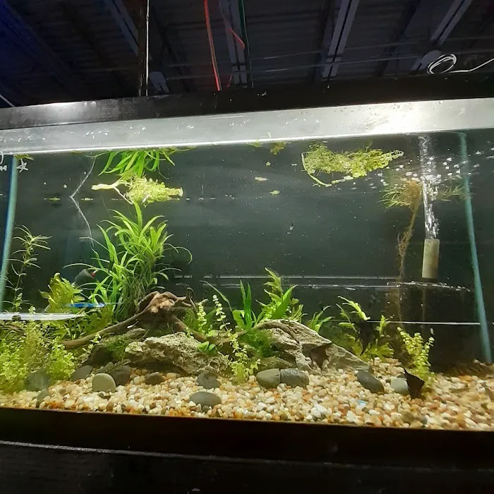 Rivers & Reefs 12