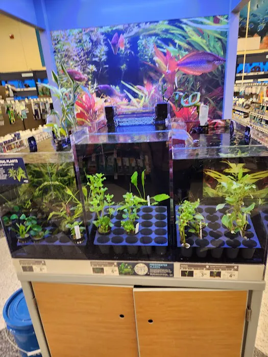 Petco 12