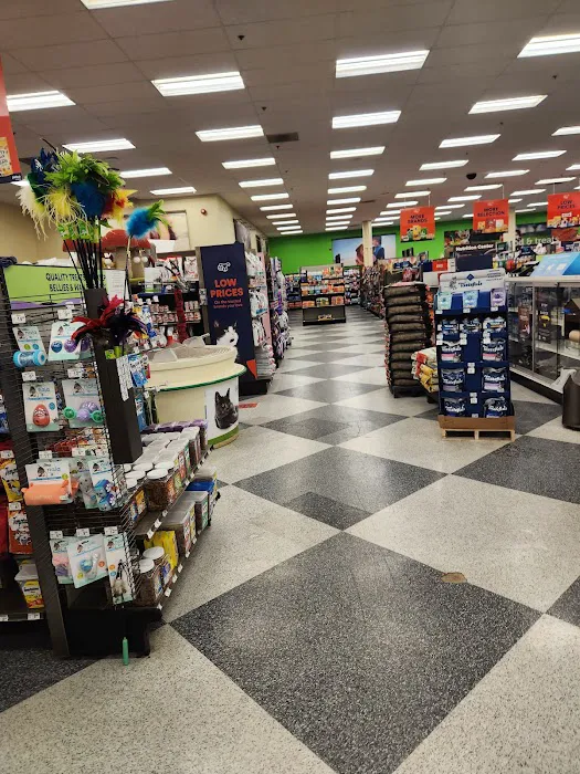 Petco 12